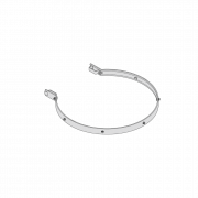 Arceau de protection dorsale pour échelle à crinoline